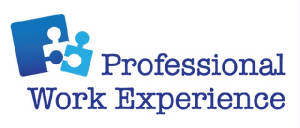 professional-work-experience-logo.jpg
